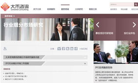 大禾咨詢官方網(wǎng)站設(shè)計制作 沙漠風(fēng)網(wǎng)站建設(shè)公司的成功案例解析